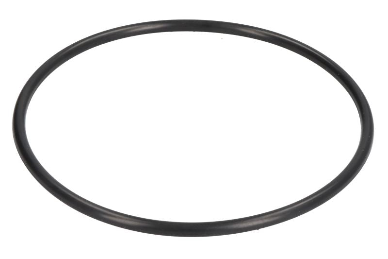 CARRARO 28170-CR Stub Axle Repair Kit