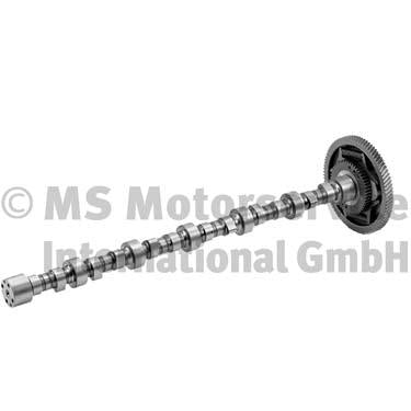 BF 20100344701 Camshaft