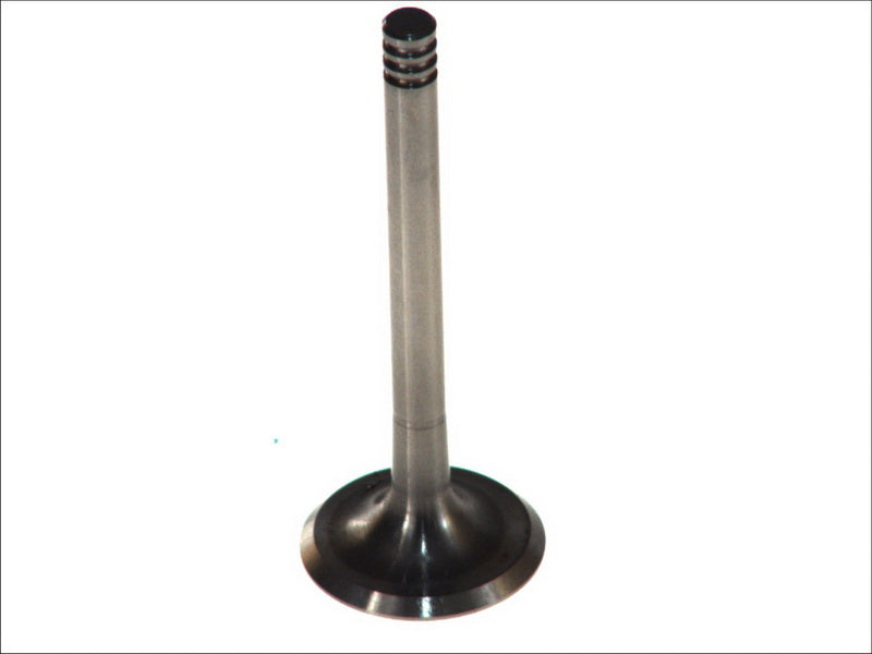 PARADOWSCY PAUD005 Intake Valve