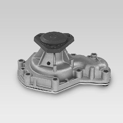 HEPU P820 Water Pump