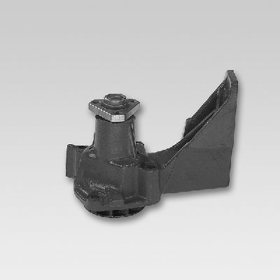 HEPU P110 Water Pump