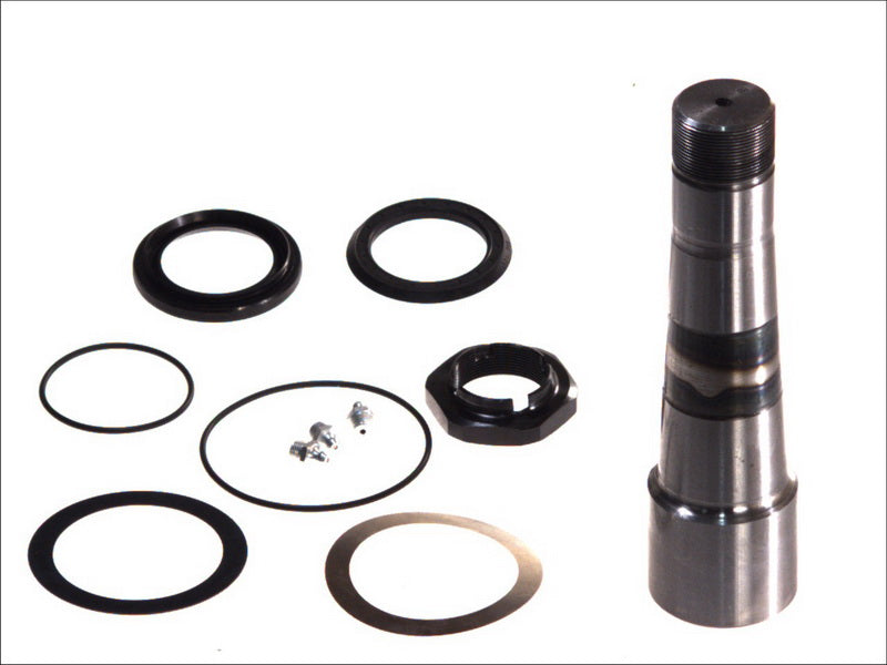 C.E.I 230065 Kingpin Repair Kit