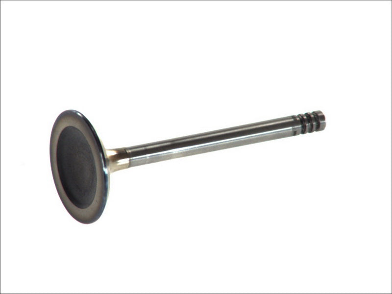 FRECCIA 6451/S Intake Valve