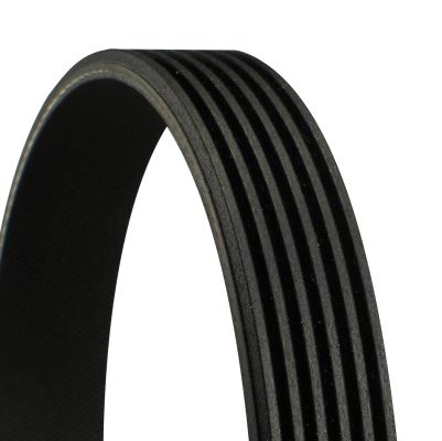 CONTITECH 6PK1196EXTRA V-Ribbed Belt