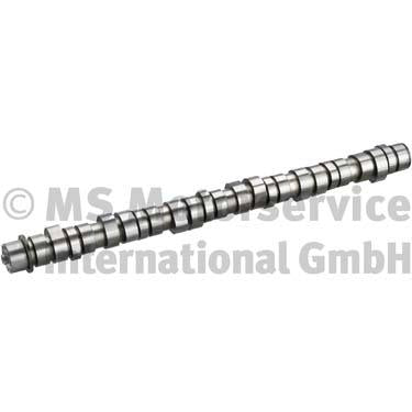 BF 20100413000 Camshaft