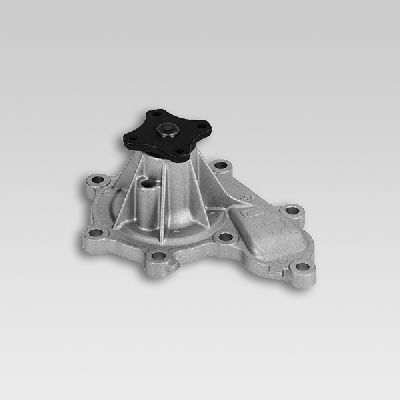 HEPU P7365 Water Pump