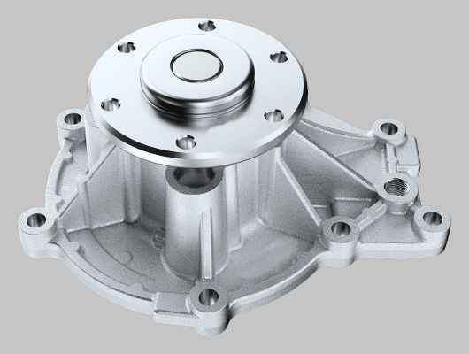 HEPU P9959 Water Pump