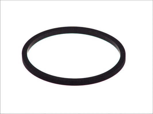 LEMA LE24279.10 Water Pump Gasket