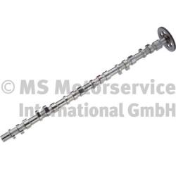 BF 20100347102 Camshaft