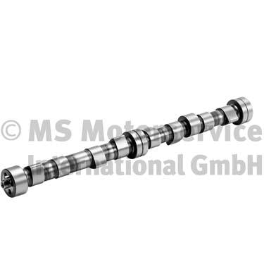 BF 20100208240 Camshaft