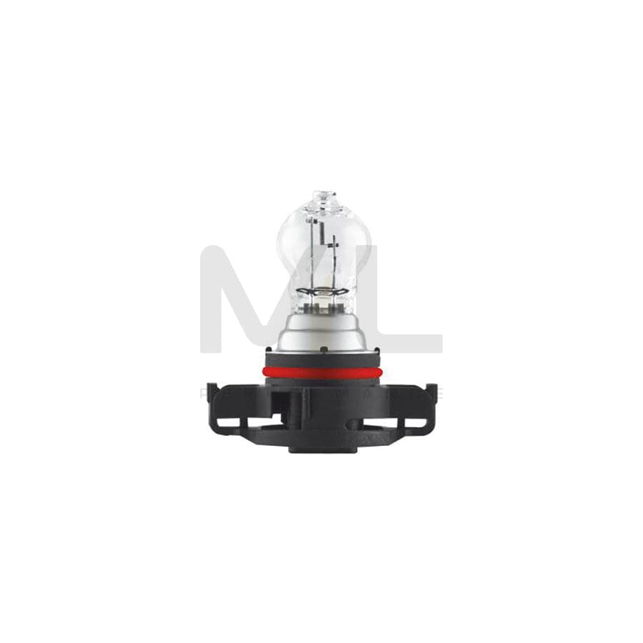 OSRAM 2504 Bulb, indicator 12V 24W, PSX24W, PG20-7