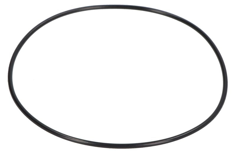 CARRARO 28107-CR Stub Axle Repair Kit