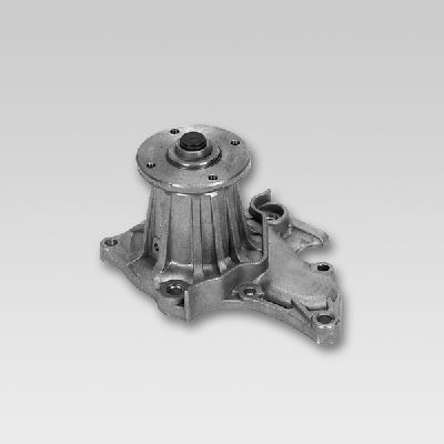 HEPU P722 Water Pump