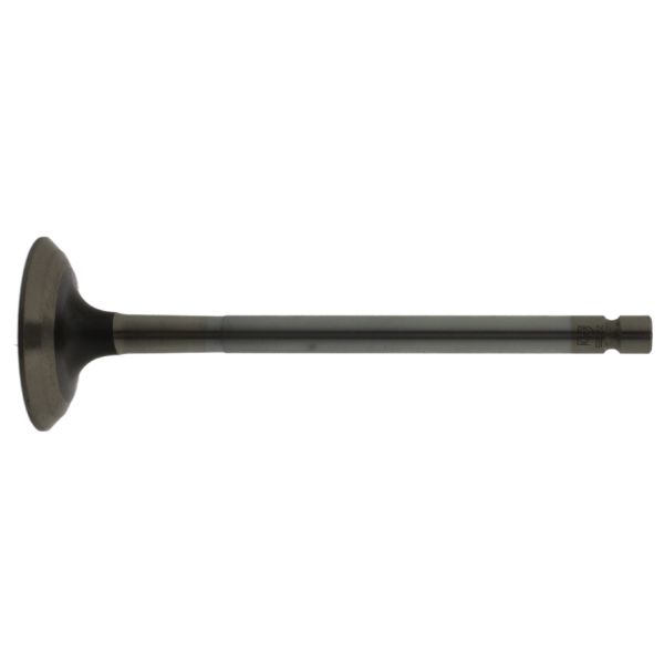 FEBI BILSTEIN FE22065 Exhaust Valve