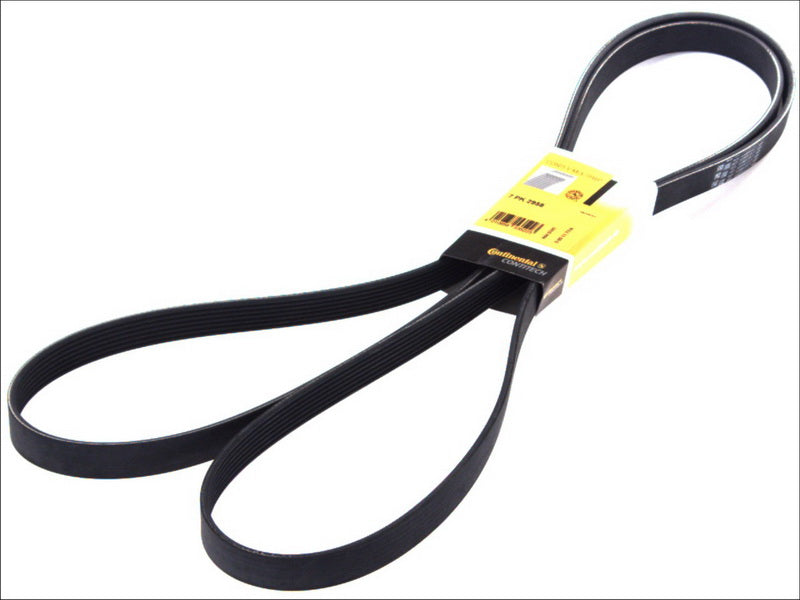 CONTITECH 7PK2958 V-Ribbed Belt