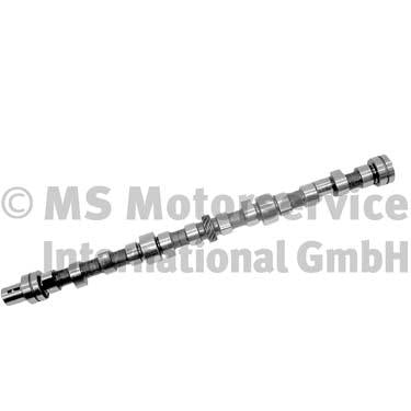 BF 20100335202 Camshaft