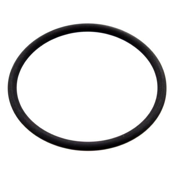 FEBI BILSTEIN FE100165 Seal Ring