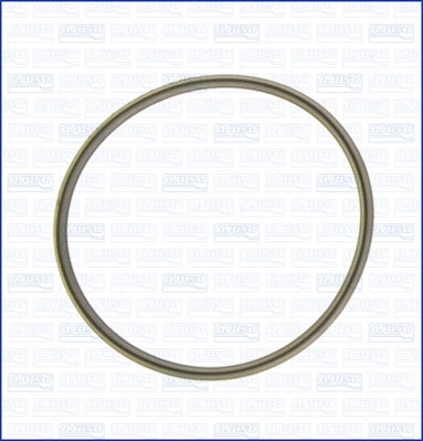 AJUSA AJU01070300 Throttle Gasket