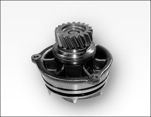 HEPU P1178 Water Pump