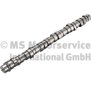 BF 20100413002 Camshaft