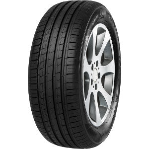 MINERVA F209 195/55 R16 91V XL Summer Car Tyre