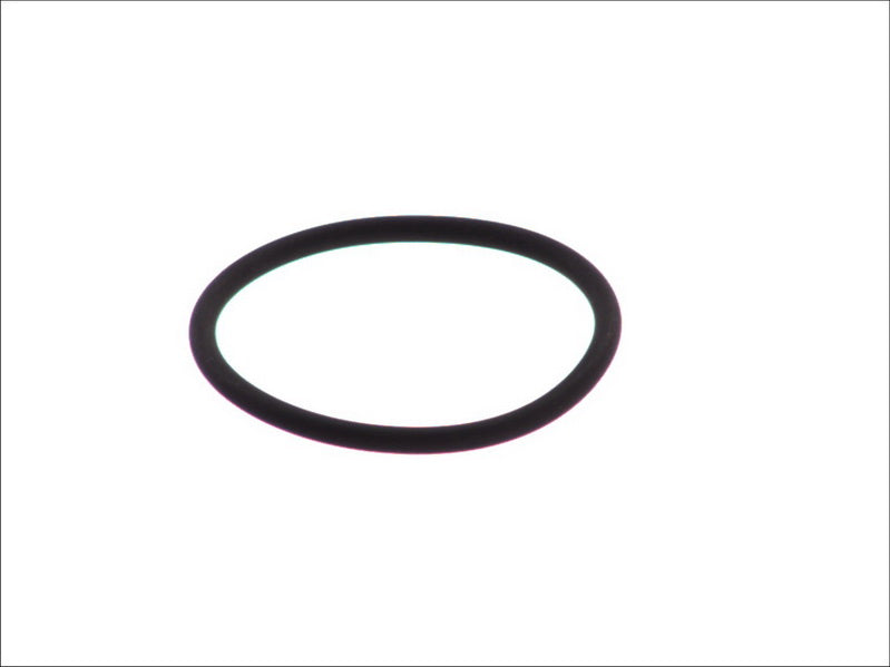 LEMA LE125105 Seal Ring