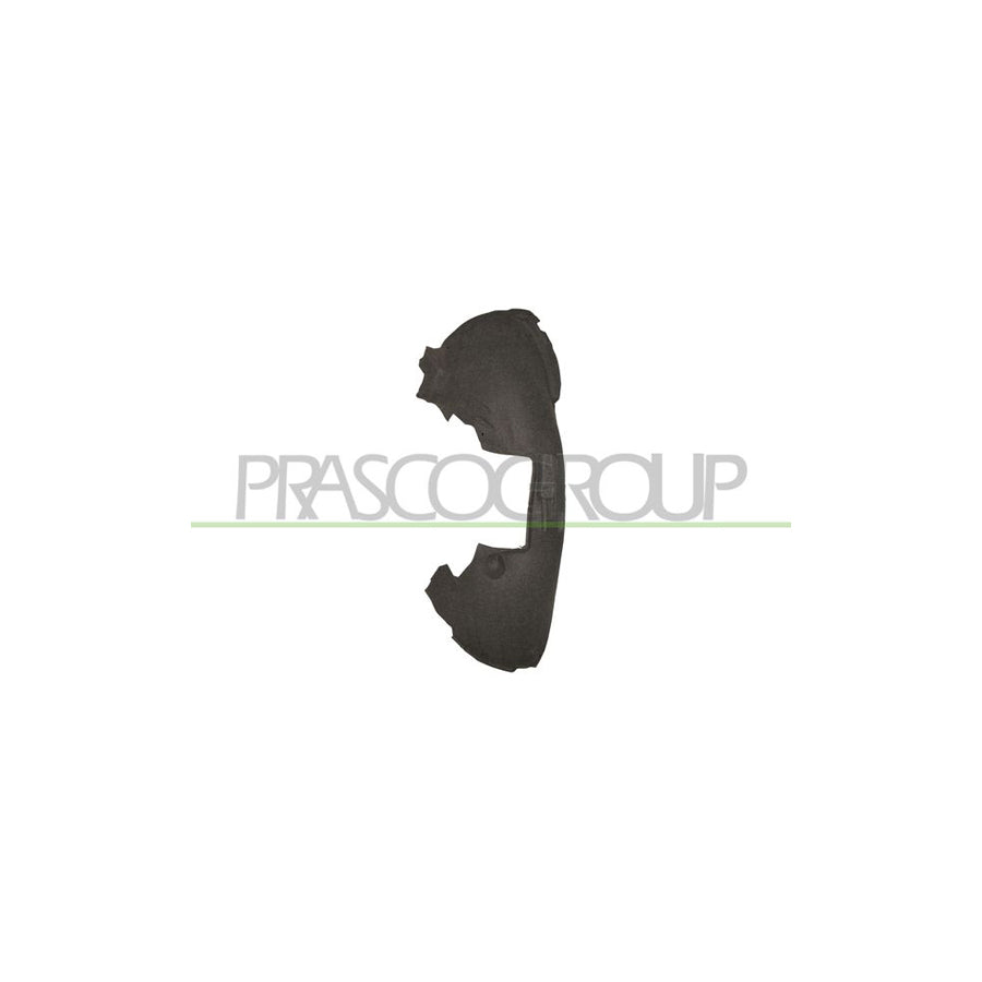 Prasco AD8203634 Panelling, Mudguard for AUDI Q5 (8RB)