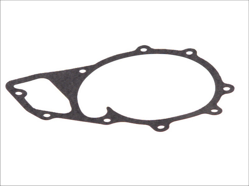 LEMA LE24500.25 Water Pump Gasket