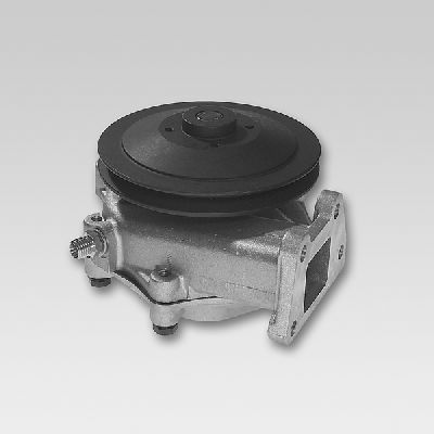 HEPU P117 Water Pump
