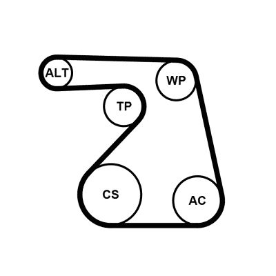 CONTITECH 6PK1217K2 V-Ribbed Belt Set