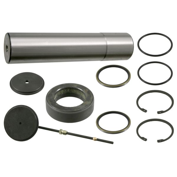 FEBI FE18954 Kingpin Repair Kit