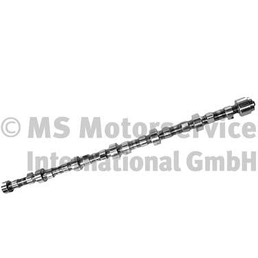 BF 20100412200 Camshaft