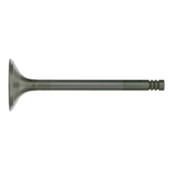 FEBI BILSTEIN FE19636 Intake Valve