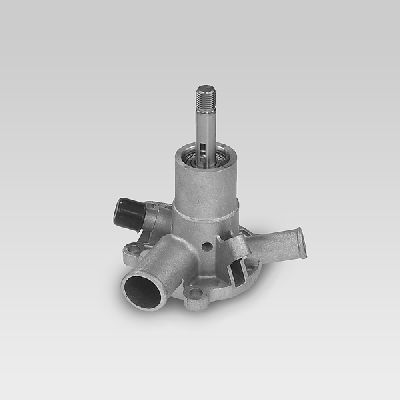 HEPU P867 Water Pump