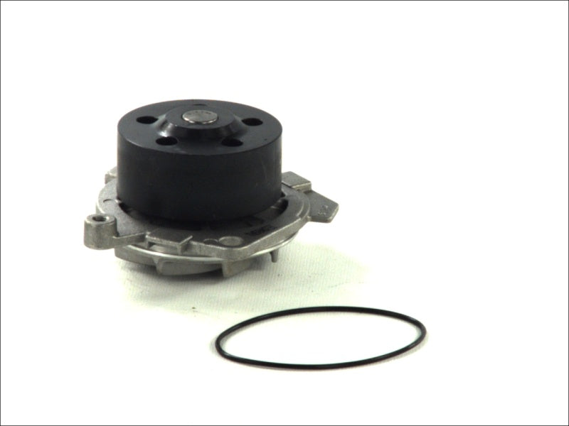 THERMOTEC D1D019TT Water Pump