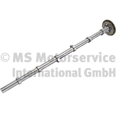 BF 20100347302 Camshaft