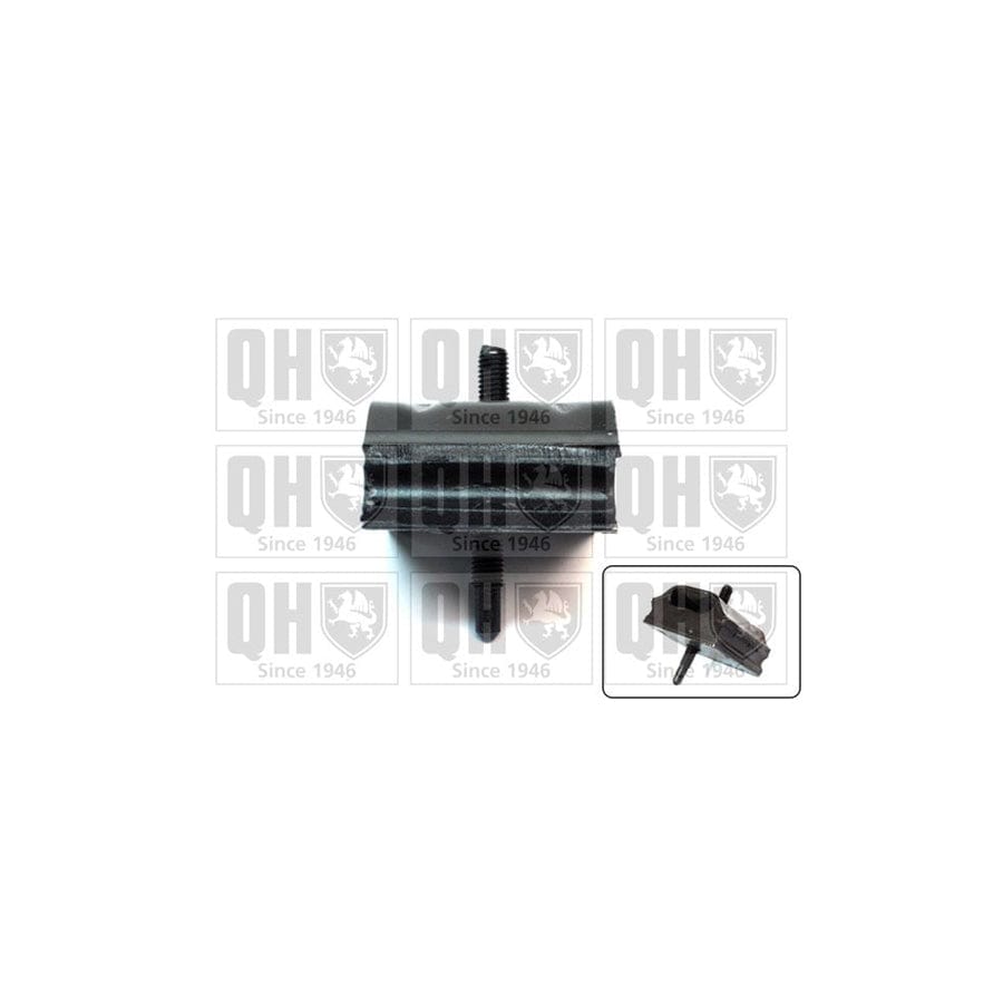 Quinton Hazell Em1896 Axle Bush