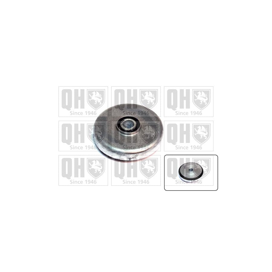 Quinton Hazell Em2491 Axle Bush