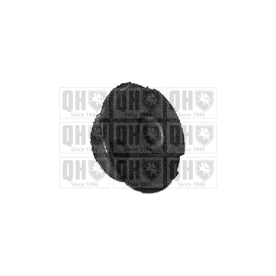 Quinton Hazell EMS2169 Control Arm / Trailing Arm Bush For Peugeot 309