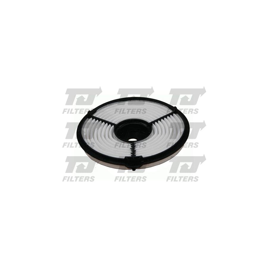 Quinton Hazell QFA0183 Air Filter