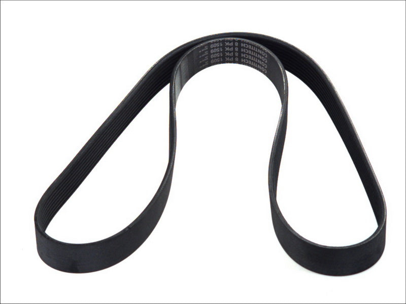 CONTITECH 8PK1509 V-Ribbed Belt