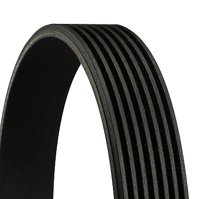 CONTITECH 7PK855 V-Ribbed Belt