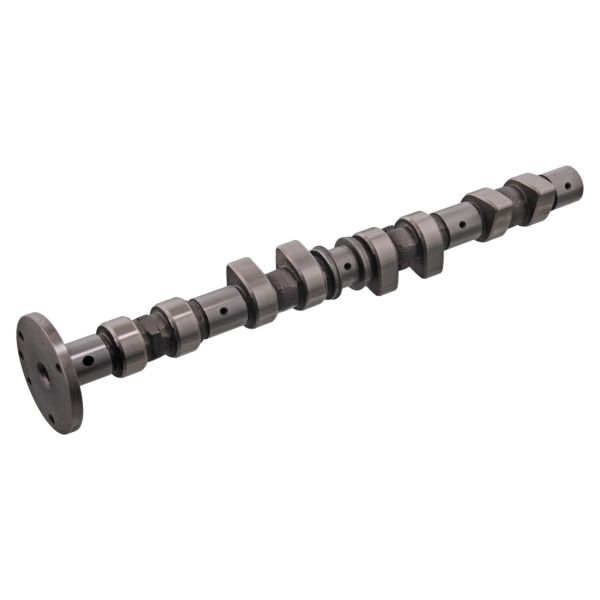 SWAG SW10310002 Camshaft