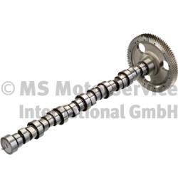 BF 20100390605 Camshaft