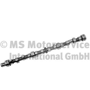 BF 20100335201 Camshaft