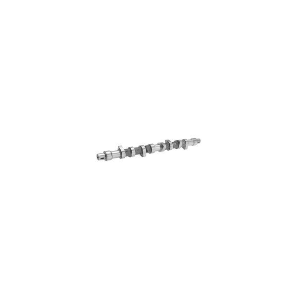FEBI BILSTEIN FE17069 Camshaft