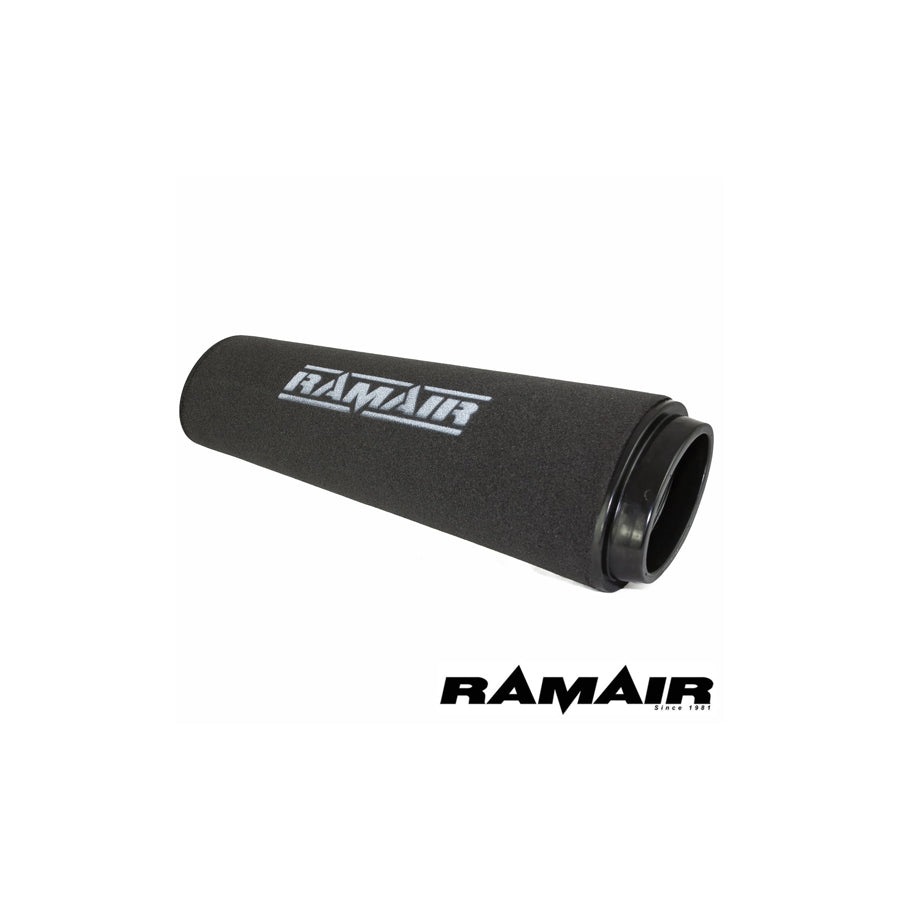 RAMAIR RPF-1752 BMW D 10 (E39) 3.0 D (09/99 -) PANEL FILTERS