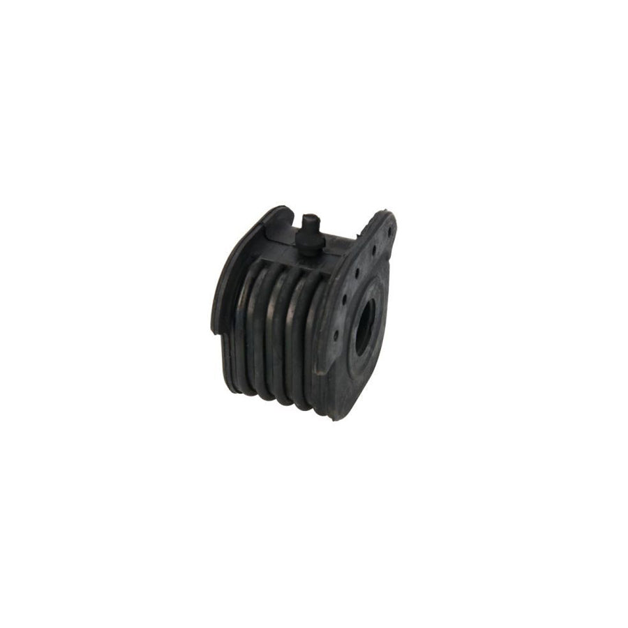 Reinhoch Rh144035 Control Arm / Trailing Arm Bush