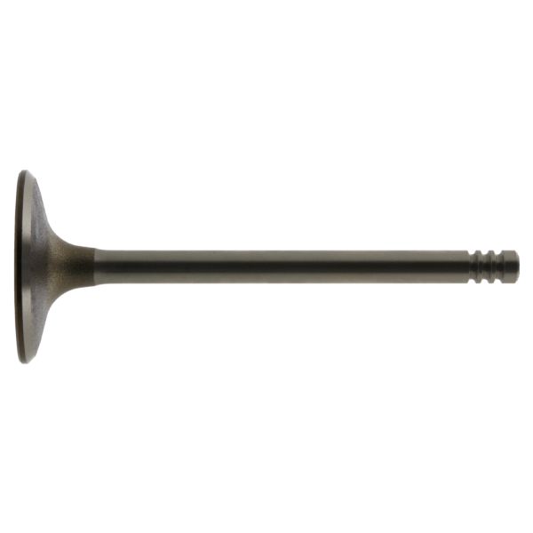 FEBI BILSTEIN FE12856 Intake Valve