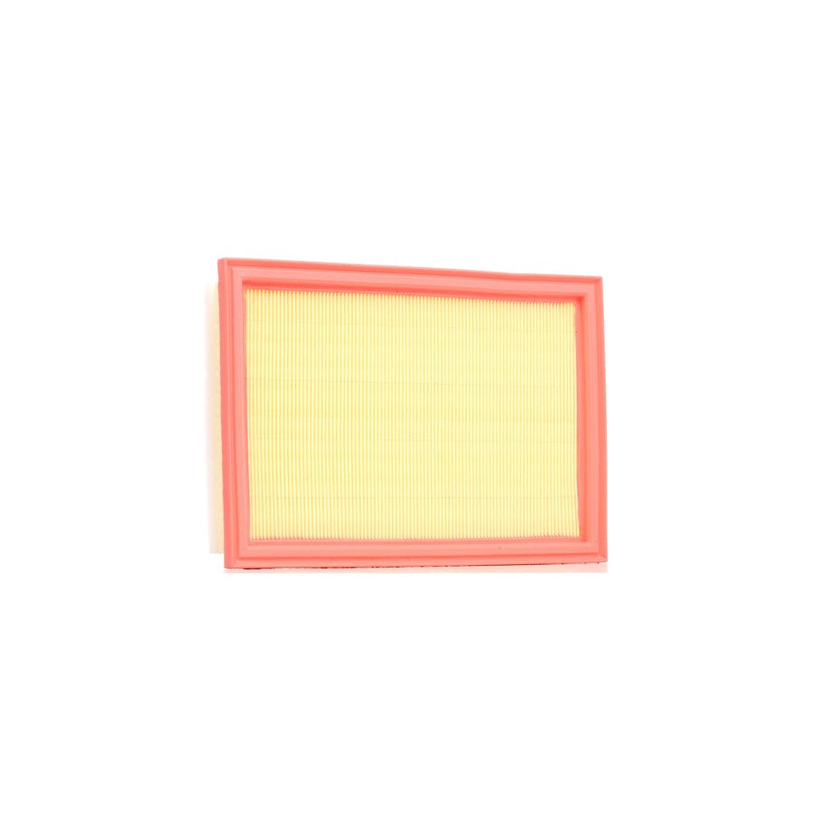 Ridex 8A0019 Air Filter